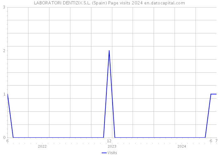 LABORATORI DENTIZIX S.L. (Spain) Page visits 2024 