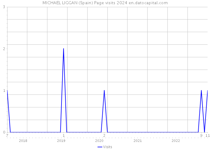 MICHAEL LIGGAN (Spain) Page visits 2024 