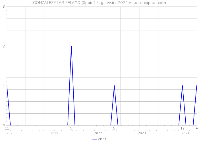 GONZALEZPILAR PELAYO (Spain) Page visits 2024 