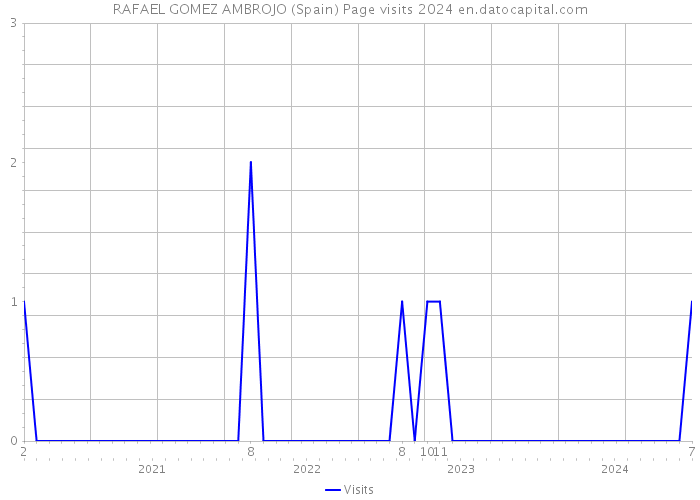 RAFAEL GOMEZ AMBROJO (Spain) Page visits 2024 