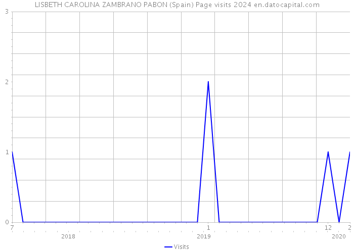 LISBETH CAROLINA ZAMBRANO PABON (Spain) Page visits 2024 