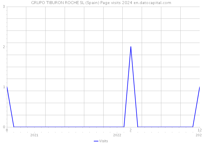 GRUPO TIBURON ROCHE SL (Spain) Page visits 2024 