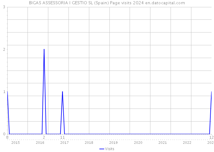 BIGAS ASSESSORIA I GESTIO SL (Spain) Page visits 2024 