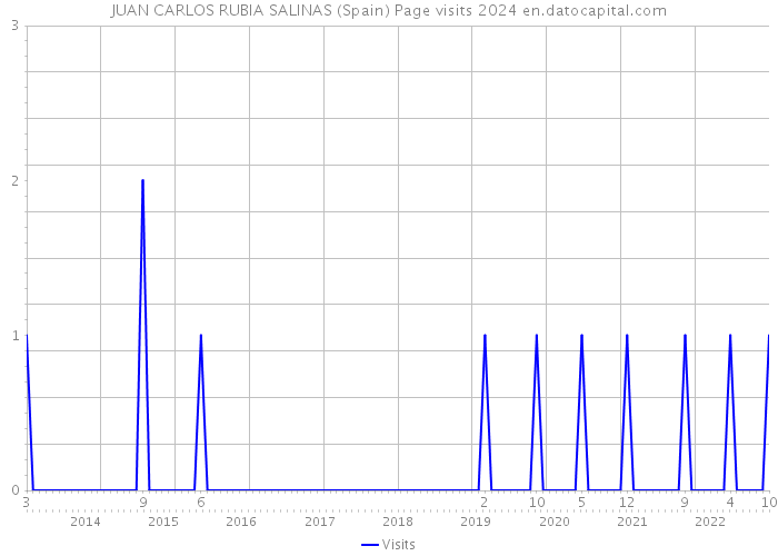 JUAN CARLOS RUBIA SALINAS (Spain) Page visits 2024 