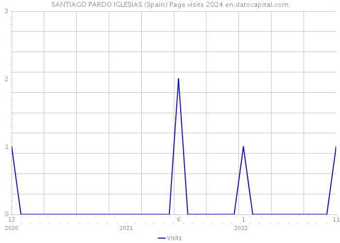 SANTIAGO PARDO IGLESIAS (Spain) Page visits 2024 