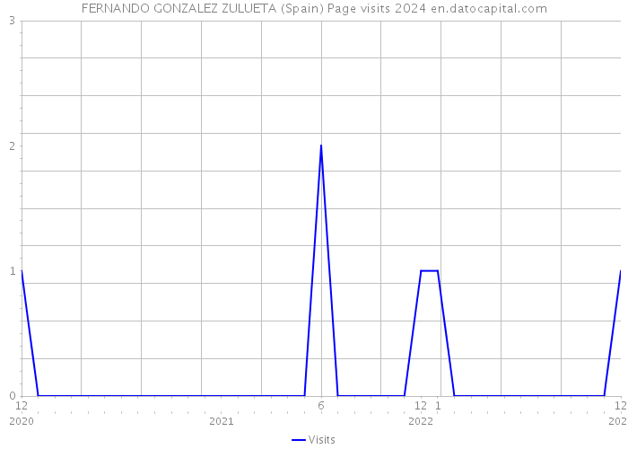 FERNANDO GONZALEZ ZULUETA (Spain) Page visits 2024 