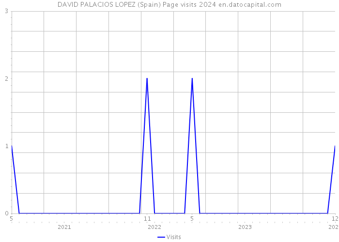 DAVID PALACIOS LOPEZ (Spain) Page visits 2024 