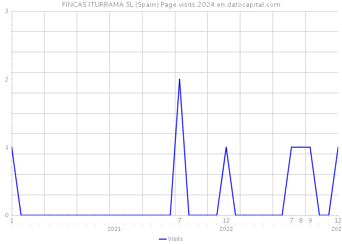 FINCAS ITURRAMA SL (Spain) Page visits 2024 