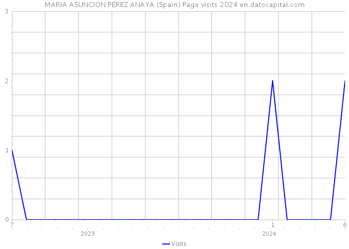 MARIA ASUNCION PEREZ ANAYA (Spain) Page visits 2024 