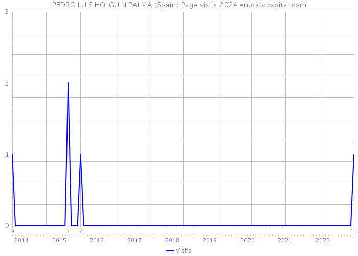 PEDRO LUIS HOLGUIN PALMA (Spain) Page visits 2024 