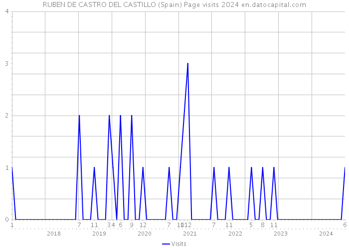 RUBEN DE CASTRO DEL CASTILLO (Spain) Page visits 2024 