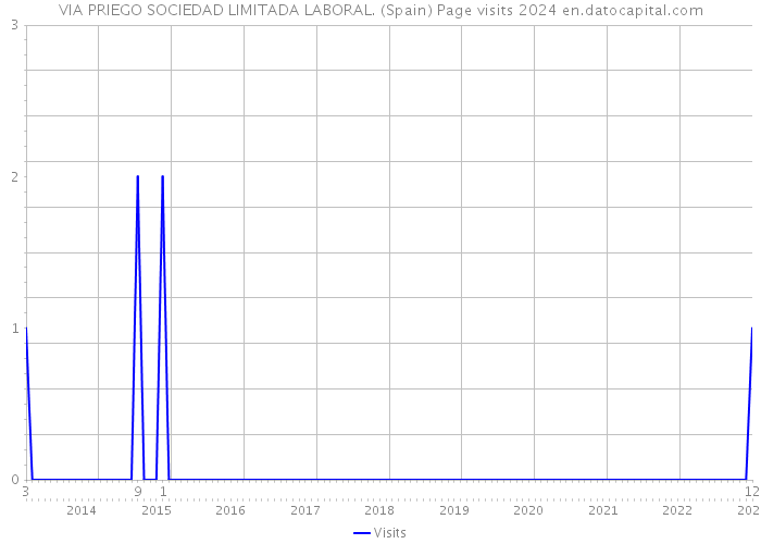 VIA PRIEGO SOCIEDAD LIMITADA LABORAL. (Spain) Page visits 2024 