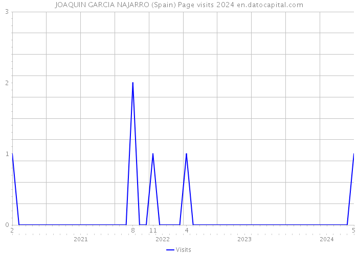 JOAQUIN GARCIA NAJARRO (Spain) Page visits 2024 