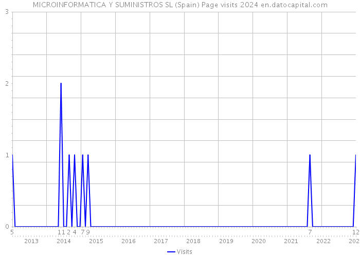 MICROINFORMATICA Y SUMINISTROS SL (Spain) Page visits 2024 