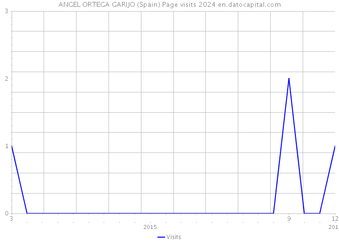 ANGEL ORTEGA GARIJO (Spain) Page visits 2024 