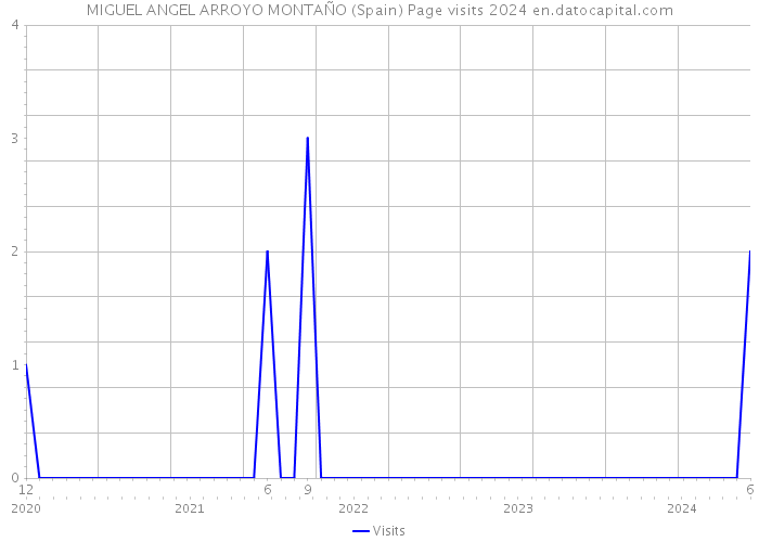 MIGUEL ANGEL ARROYO MONTAÑO (Spain) Page visits 2024 
