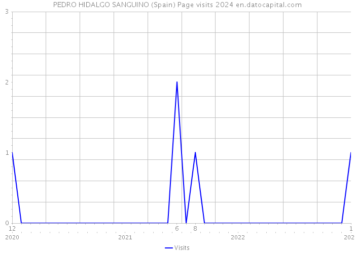 PEDRO HIDALGO SANGUINO (Spain) Page visits 2024 