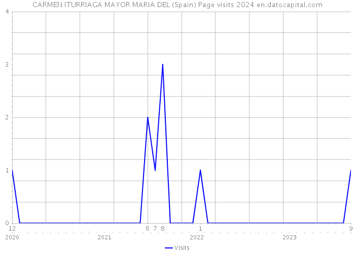CARMEN ITURRIAGA MAYOR MARIA DEL (Spain) Page visits 2024 