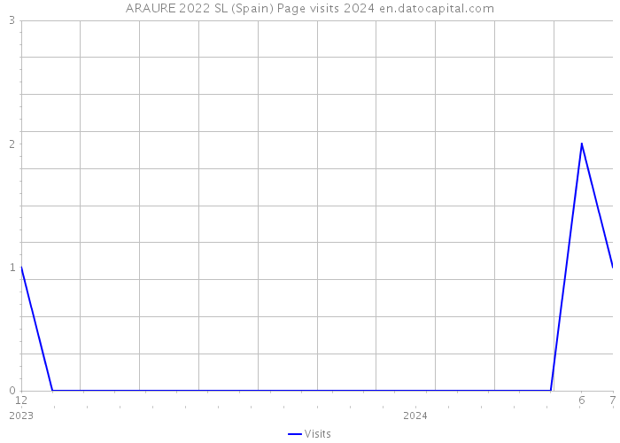 ARAURE 2022 SL (Spain) Page visits 2024 