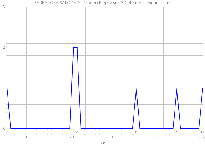 BARBAROSA SALOOM SL (Spain) Page visits 2024 