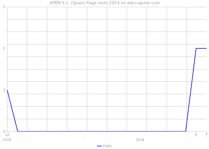 APEM S.C. (Spain) Page visits 2024 