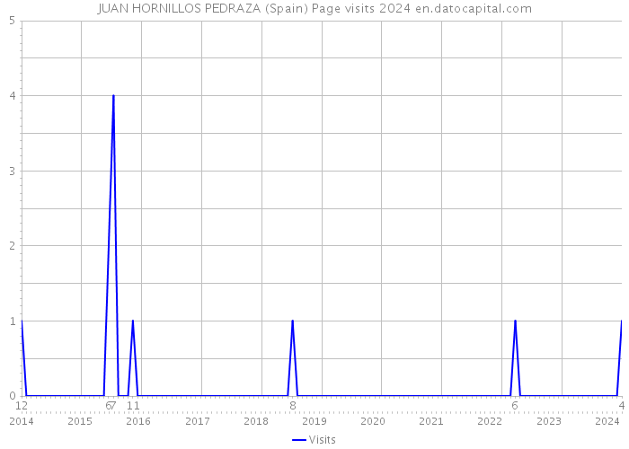 JUAN HORNILLOS PEDRAZA (Spain) Page visits 2024 
