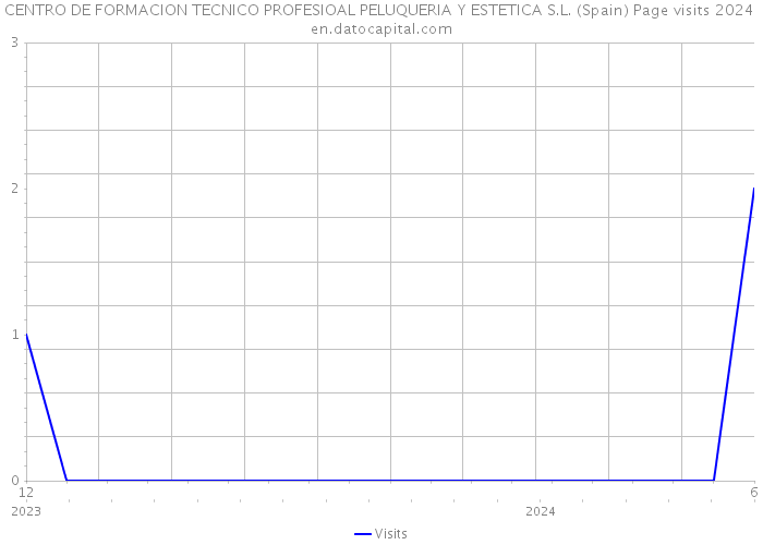 CENTRO DE FORMACION TECNICO PROFESIOAL PELUQUERIA Y ESTETICA S.L. (Spain) Page visits 2024 