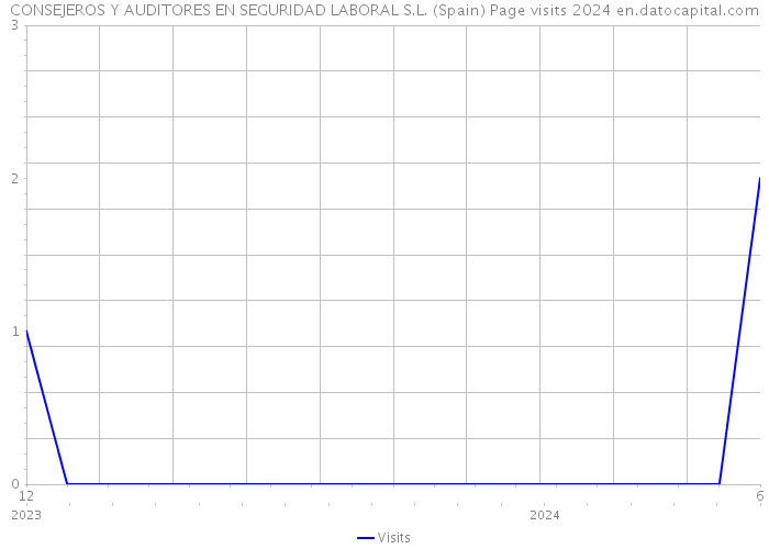 CONSEJEROS Y AUDITORES EN SEGURIDAD LABORAL S.L. (Spain) Page visits 2024 