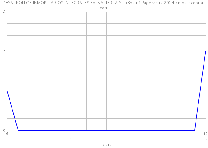 DESARROLLOS INMOBILIARIOS INTEGRALES SALVATIERRA S L (Spain) Page visits 2024 