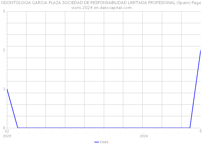 ODONTOLOGIA GARCIA PLAZA SOCIEDAD DE RESPONSABILIDAD LIMITADA PROFESIONAL (Spain) Page visits 2024 