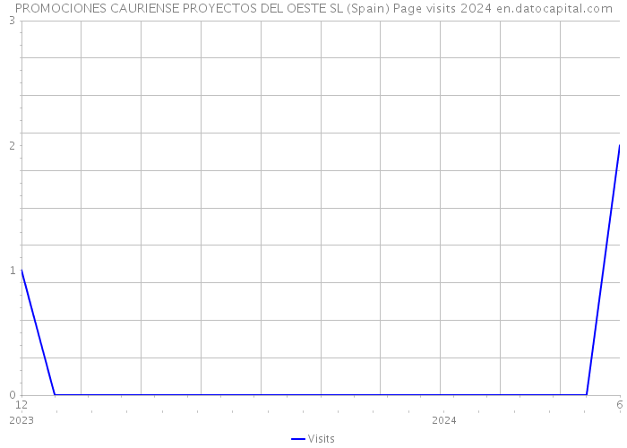 PROMOCIONES CAURIENSE PROYECTOS DEL OESTE SL (Spain) Page visits 2024 