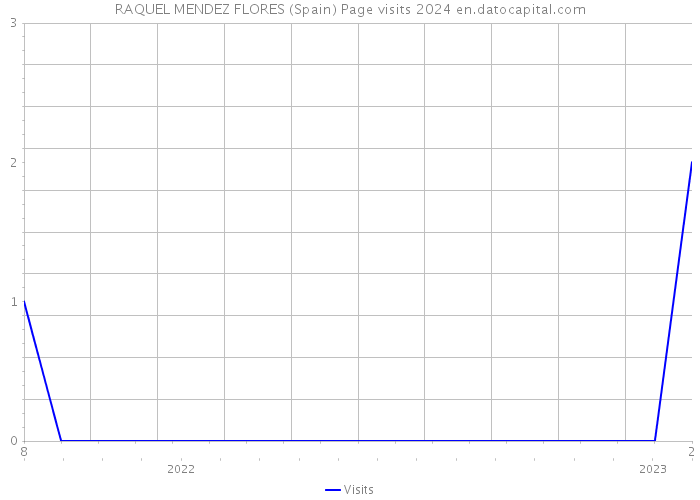 RAQUEL MENDEZ FLORES (Spain) Page visits 2024 