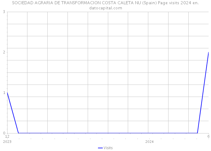 SOCIEDAD AGRARIA DE TRANSFORMACION COSTA CALETA NU (Spain) Page visits 2024 