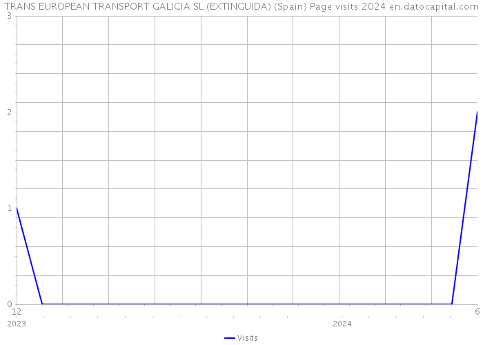 TRANS EUROPEAN TRANSPORT GALICIA SL (EXTINGUIDA) (Spain) Page visits 2024 