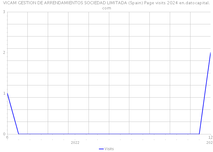VICAM GESTION DE ARRENDAMIENTOS SOCIEDAD LIMITADA (Spain) Page visits 2024 