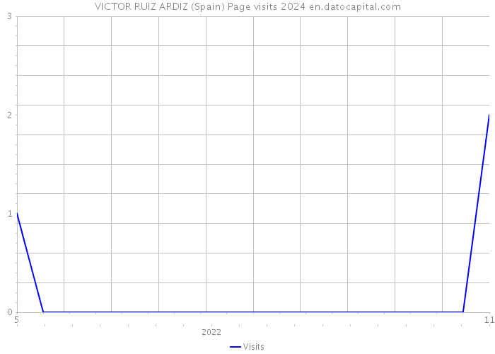 VICTOR RUIZ ARDIZ (Spain) Page visits 2024 