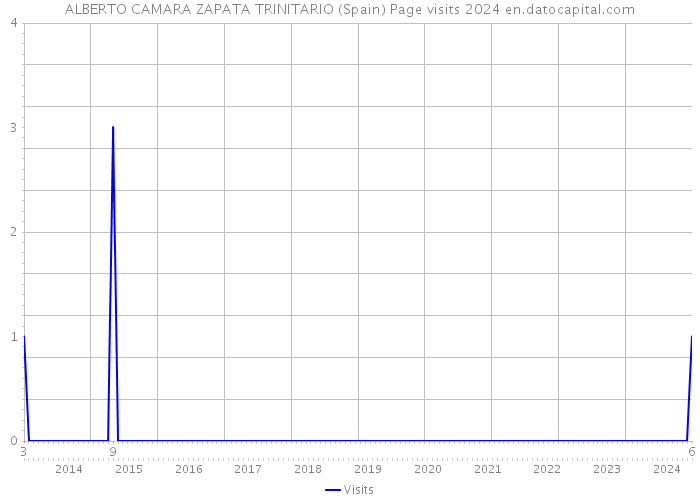 ALBERTO CAMARA ZAPATA TRINITARIO (Spain) Page visits 2024 