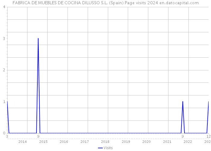 FABRICA DE MUEBLES DE COCINA DILUSSO S.L. (Spain) Page visits 2024 