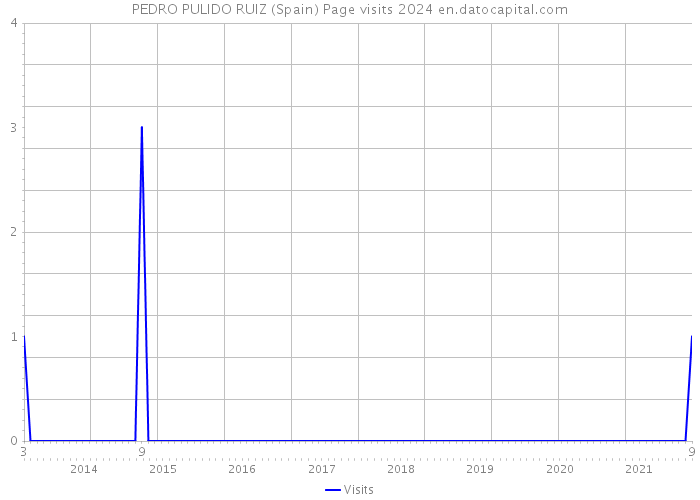 PEDRO PULIDO RUIZ (Spain) Page visits 2024 