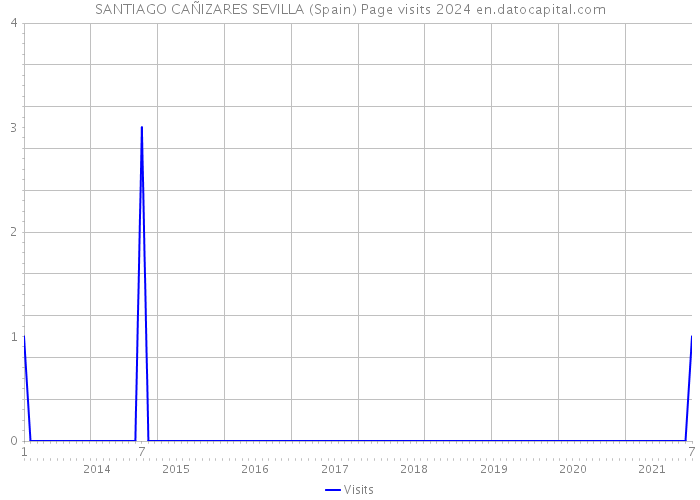 SANTIAGO CAÑIZARES SEVILLA (Spain) Page visits 2024 