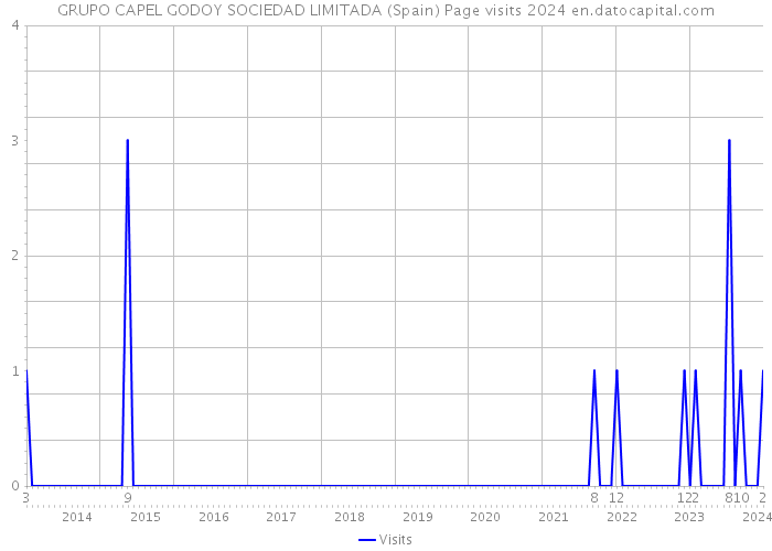 GRUPO CAPEL GODOY SOCIEDAD LIMITADA (Spain) Page visits 2024 
