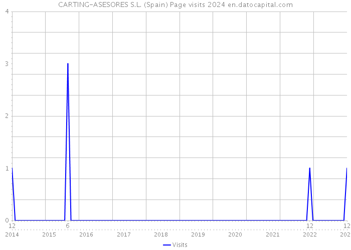 CARTING-ASESORES S.L. (Spain) Page visits 2024 