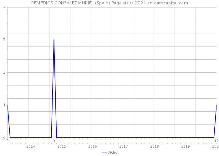 REMEDIOS GONZALEZ MURIEL (Spain) Page visits 2024 