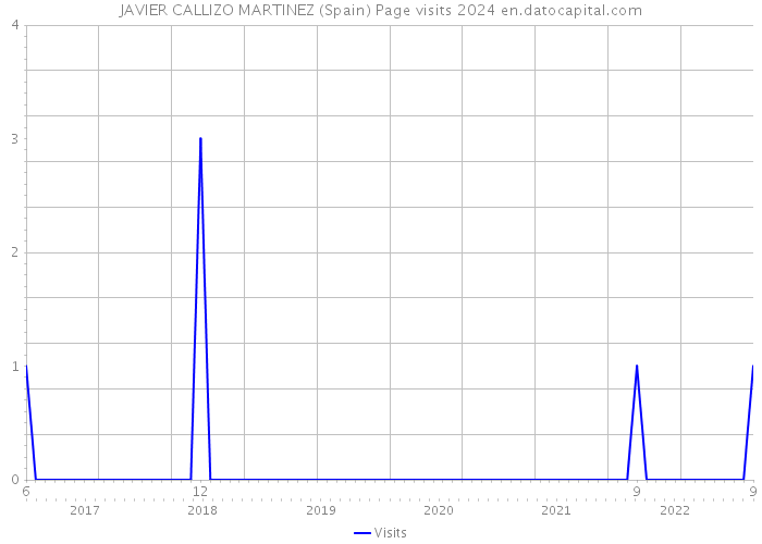 JAVIER CALLIZO MARTINEZ (Spain) Page visits 2024 