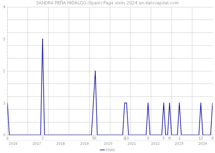 SANDRA PEÑA HIDALGO (Spain) Page visits 2024 