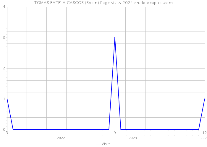 TOMAS FATELA CASCOS (Spain) Page visits 2024 