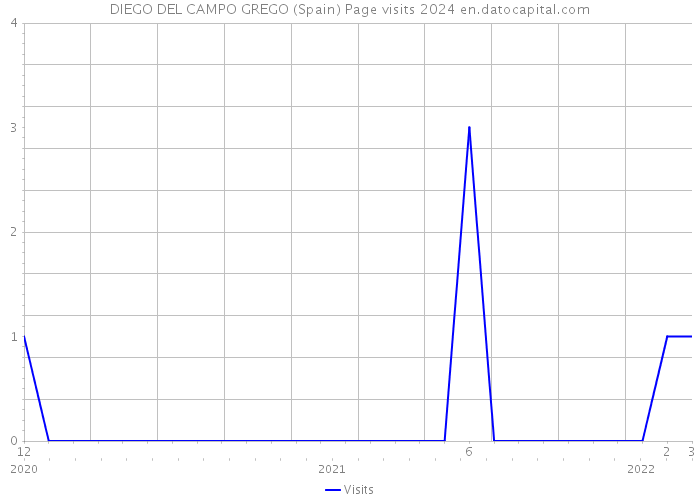 DIEGO DEL CAMPO GREGO (Spain) Page visits 2024 