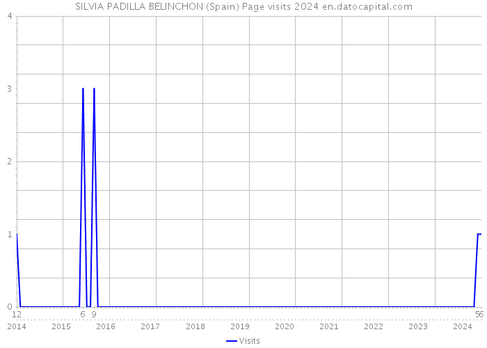 SILVIA PADILLA BELINCHON (Spain) Page visits 2024 