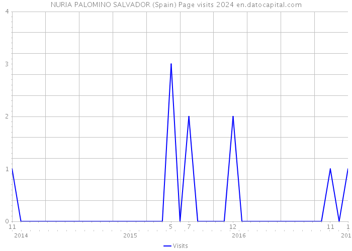 NURIA PALOMINO SALVADOR (Spain) Page visits 2024 