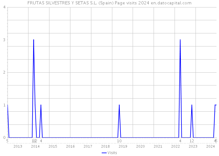 FRUTAS SILVESTRES Y SETAS S.L. (Spain) Page visits 2024 